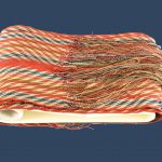 Métis sash - view 1