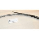 400 bow found in NWT