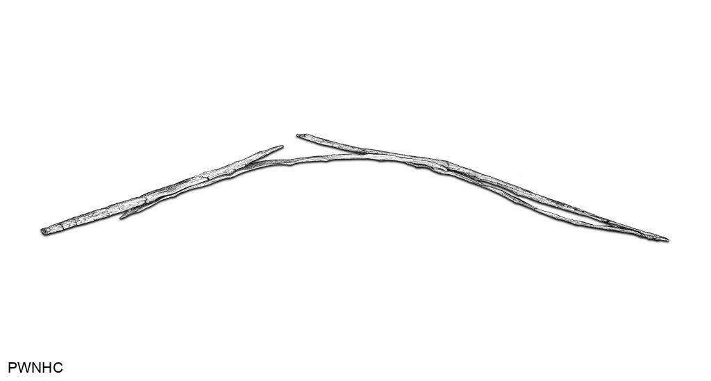Drawing of 400 year old bow.