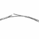 Drawing of 400 year old bow.