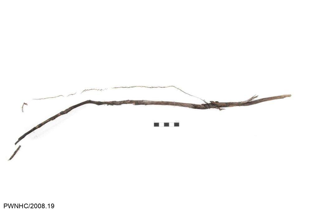 1000-year-old ground squirrel snare
