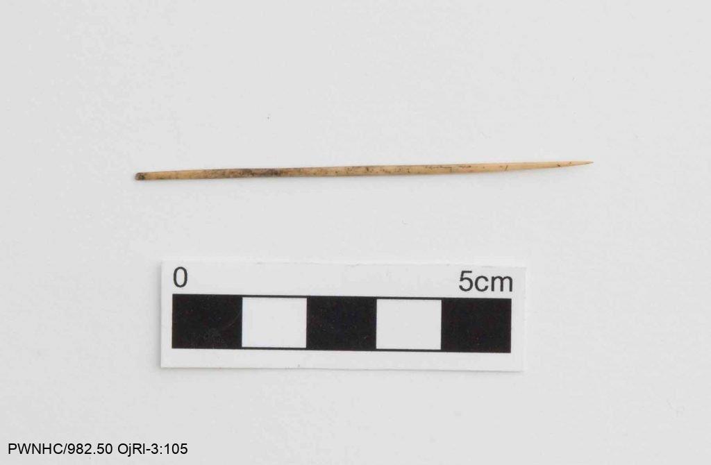 A small bone needle with intact eye