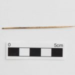 A small bone needle with intact eye