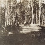 Cabane en rondins en construction dans le parc national Wood Buffalo, 1926.