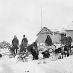 Une patrouille de la police montée se prépare à quitter Fort McPherson pour retourner à Dawson City au printemps 1910. Les traîneaux à chiens étaient le seul moyen de se déplacer entre les postes isolés.