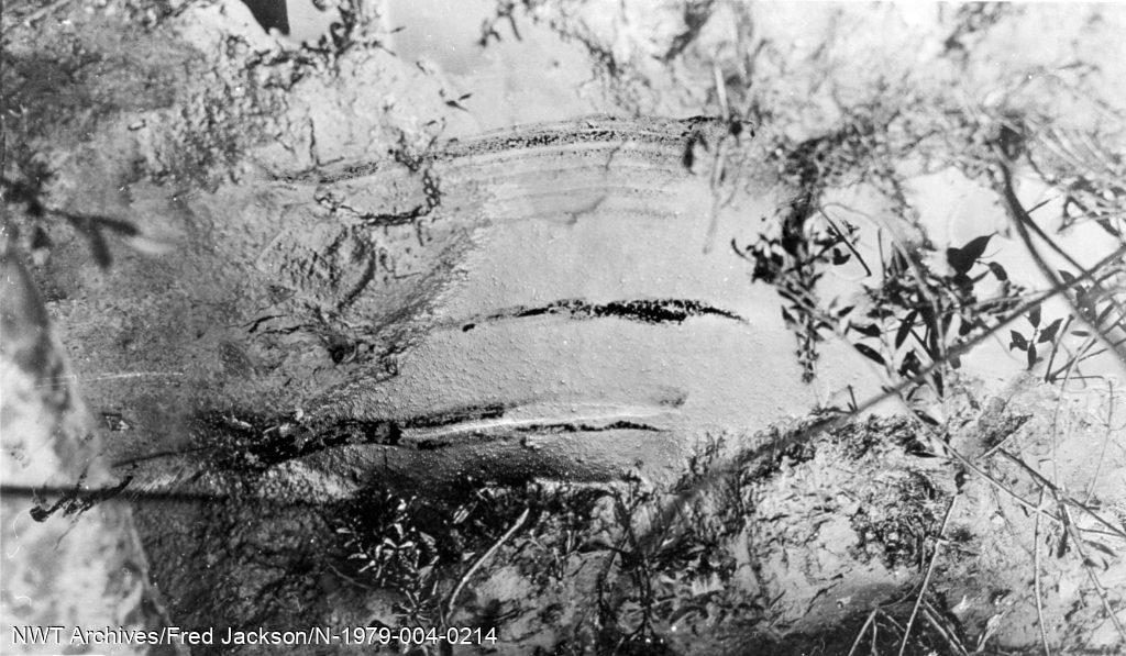 Vue rapprochée du suintement de pétrole sur le sol à Fort Norman, 1922.