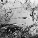Vue rapprochée du suintement de pétrole sur le sol à Fort Norman, 1922.
