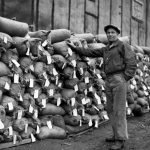 Sacs de concentré d’uraninite en attente d’expédition à Port Radium, Echo Bay, Grand lac de l’Ours, 1939. Ce sont les mêmes sacs que les Dénés transportaient pour la mine. 