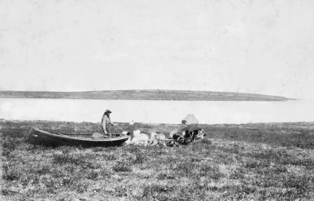 William Hoare transportant son canot avec un attelage de chiens à travers la toundra jusqu’au lac Campbell, refuge faunique Thelon, 1929.