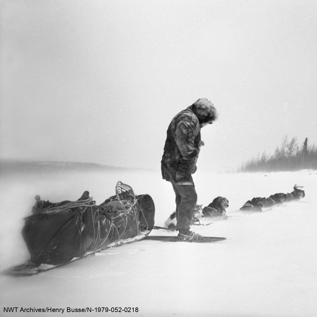La célèbre photo Facing the Elements d’Henry Busse présentant Howard McIntosh et ses chiens près des chutes Cameron. 
